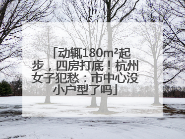动辄180m²起步，四房打底！杭州女子犯愁：市中心没小户型了吗