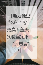 助力低空经济“飞”更高！蓝天实验室定下“计划表”→