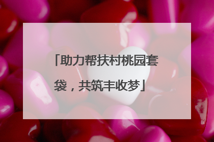 助力帮扶村桃园套袋，共筑丰收梦