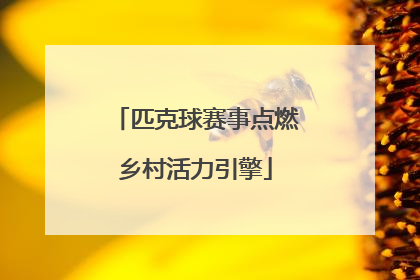 匹克球赛事点燃乡村活力引擎