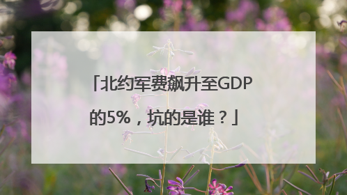 北约军费飙升至GDP的5%，坑的是谁？