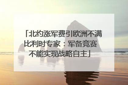 北约涨军费引欧洲不满 比利时专家：军备竞赛不能实现战略自主