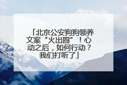 北京公安狗狗领养文案“火出圈”！心动之后，如何行动？我们打听了
