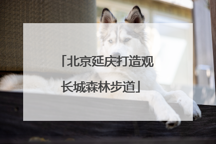 北京延庆打造观长城森林步道