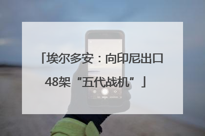 埃尔多安：向印尼出口48架“五代战机”