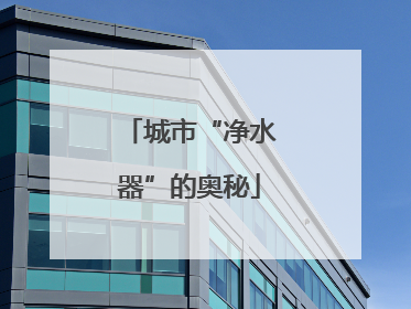 城市“净水器”的奥秘