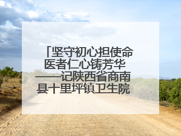 坚守初心担使命 医者仁心铸芳华——记陕西省商南县十里坪镇卫生院副院长贾胡委