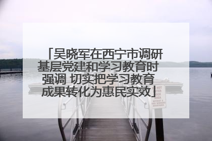吴晓军在西宁市调研基层党建和学习教育时强调 切实把学习教育成果转化为惠民实效