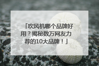 吹风机哪个品牌好用？揭秘数万网友力荐的10大品牌！