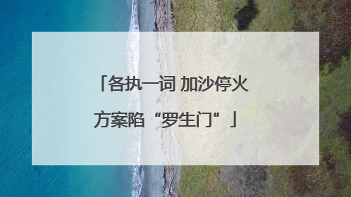 各执一词 加沙停火方案陷“罗生门”
