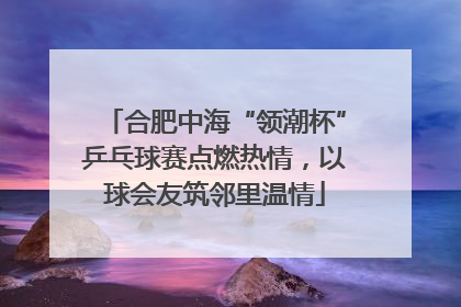 合肥中海“领潮杯”乒乓球赛点燃热情，以球会友筑邻里温情