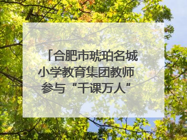 合肥市琥珀名城小学教育集团教师参与“千课万人”数学论坛活动