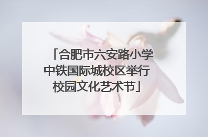 合肥市六安路小学中铁国际城校区举行校园文化艺术节
