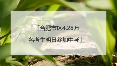 合肥市区4.28万名考生明日参加中考
