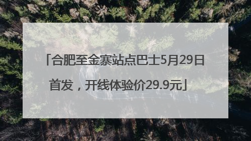 合肥至金寨站点巴士5月29日首发，开线体验价29.9元