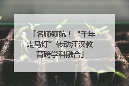 名师领航！“千年走马灯”转动江汉教育跨学科融合
