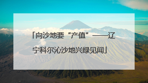 向沙地要“产值”——辽宁科尔沁沙地兴绿见闻