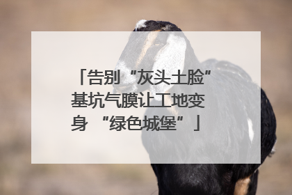 告别“灰头土脸” 基坑气膜让工地变身 “绿色城堡”