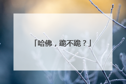 哈佛，跪不跪？