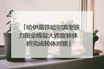 哈伊高铁哈尔滨至铁力段全线最大跨度转体桥完成转体对接