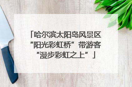 哈尔滨太阳岛风景区“阳光彩虹桥”带游客“漫步彩虹之上”