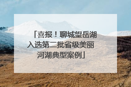 喜报！聊城望岳湖入选第二批省级美丽河湖典型案例
