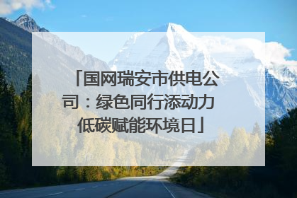 国网瑞安市供电公司：绿色同行添动力 低碳赋能环境日