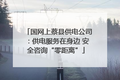 国网上蔡县供电公司：供电服务在身边 安全咨询“零距离”