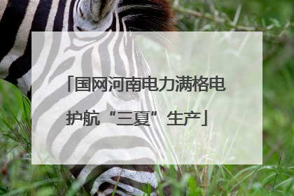 国网河南电力满格电护航“三夏”生产