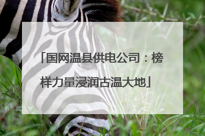 国网温县供电公司：榜样力量浸润古温大地