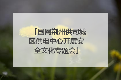 国网荆州供司城区供电中心开展安全文化专题会
