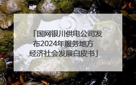 国网银川供电公司发布2024年服务地方经济社会发展白皮书