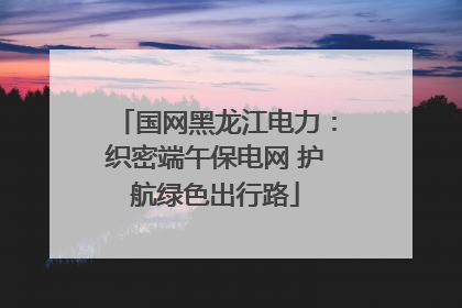 国网黑龙江电力：织密端午保电网 护航绿色出行路