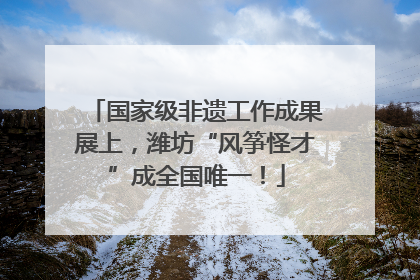 国家级非遗工作成果展上，潍坊“风筝怪才”成全国唯一！