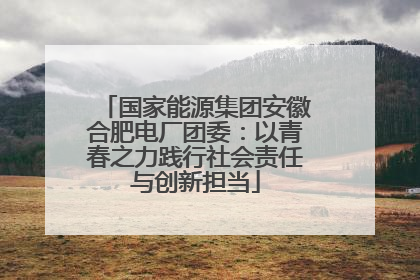 国家能源集团安徽合肥电厂团委：以青春之力践行社会责任与创新担当