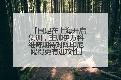 国足在上海开启集训，主帅伊万科维奇期待对阵印尼踢得更有进攻性