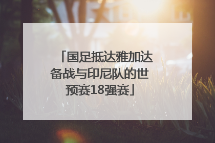国足抵达雅加达备战与印尼队的世预赛18强赛