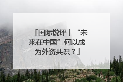 国际锐评丨“未来在中国”何以成为外资共识？