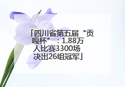 四川省第五届“贡嘎杯”：1.88万人比赛3300场 决出26组冠军