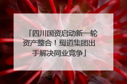四川国资启动新一轮资产整合！蜀道集团出手解决同业竞争