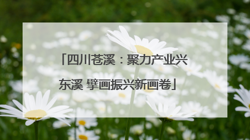 四川苍溪：聚力产业兴东溪 擘画振兴新画卷