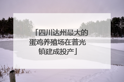 四川达州最大的蛋鸡养殖场在普光镇建成投产