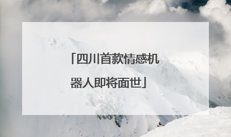 四川首款情感机器人即将面世