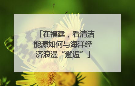 在福建，看清洁能源如何与海洋经济浪漫“邂逅”