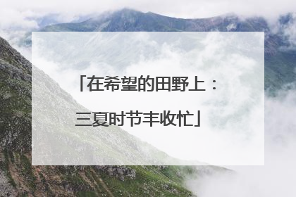 在希望的田野上：三夏时节丰收忙