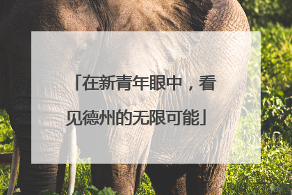 在新青年眼中，看见德州的无限可能