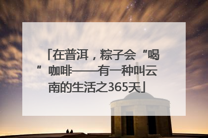 在普洱，粽子会“喝”咖啡——有一种叫云南的生活之365天