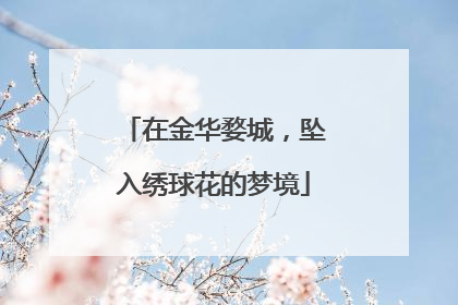 在金华婺城，坠入绣球花的梦境