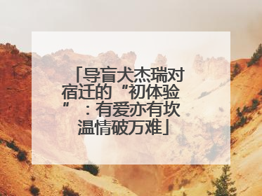 导盲犬杰瑞对宿迁的“初体验”：有爱亦有坎 温情破万难