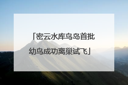 密云水库鸟岛首批幼鸟成功离巢试飞